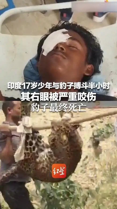 17岁印度少年徒手杀豹!体育精神极限挑战引爆全球热议